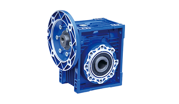 RV worm gear reducer