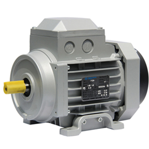 Premium Efficiency IE3 AC Motors