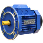 Premium Efficiency IE3 AC Motors